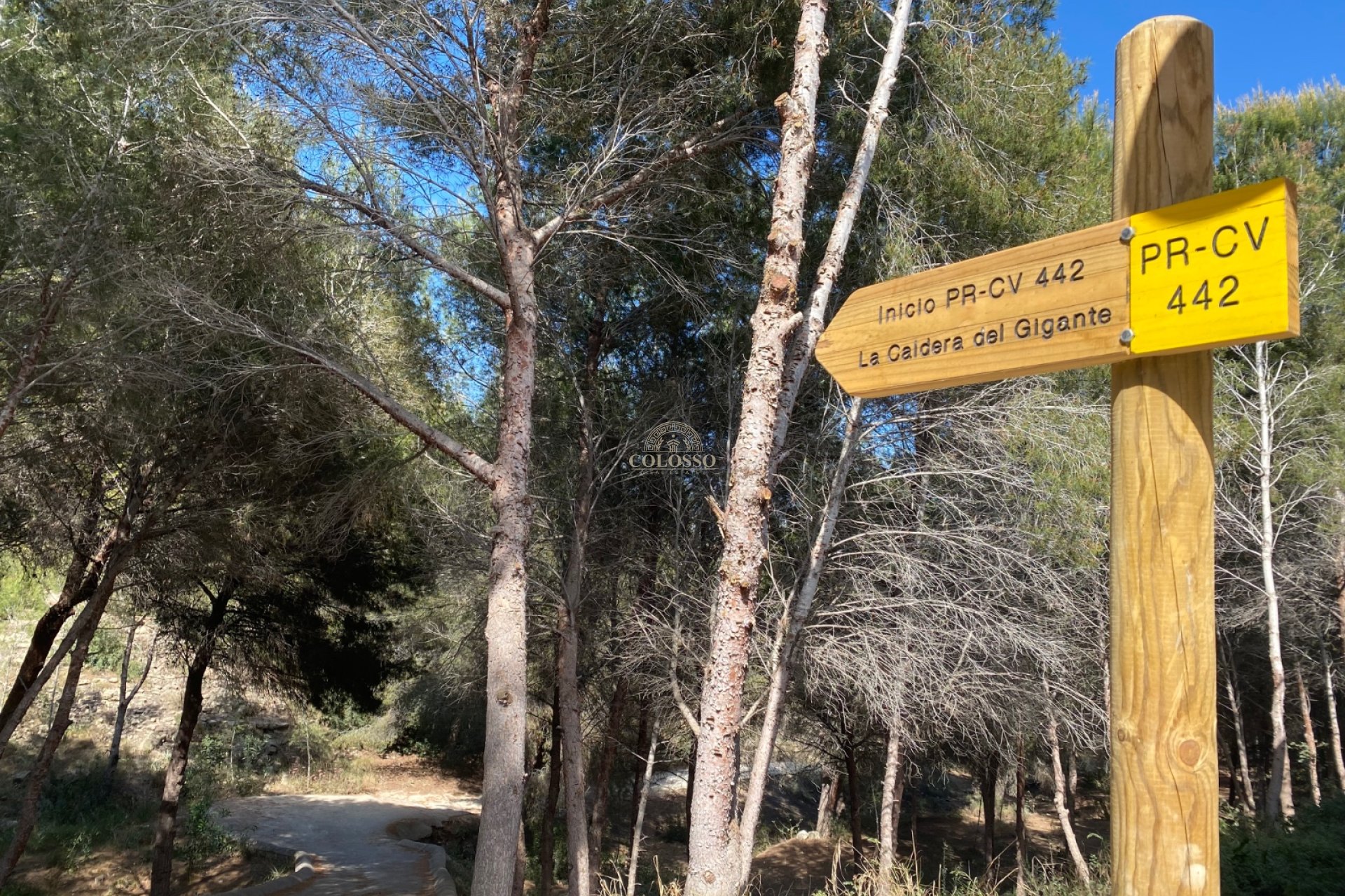 Alquiler - Adosado -
Algorfa - Montemar