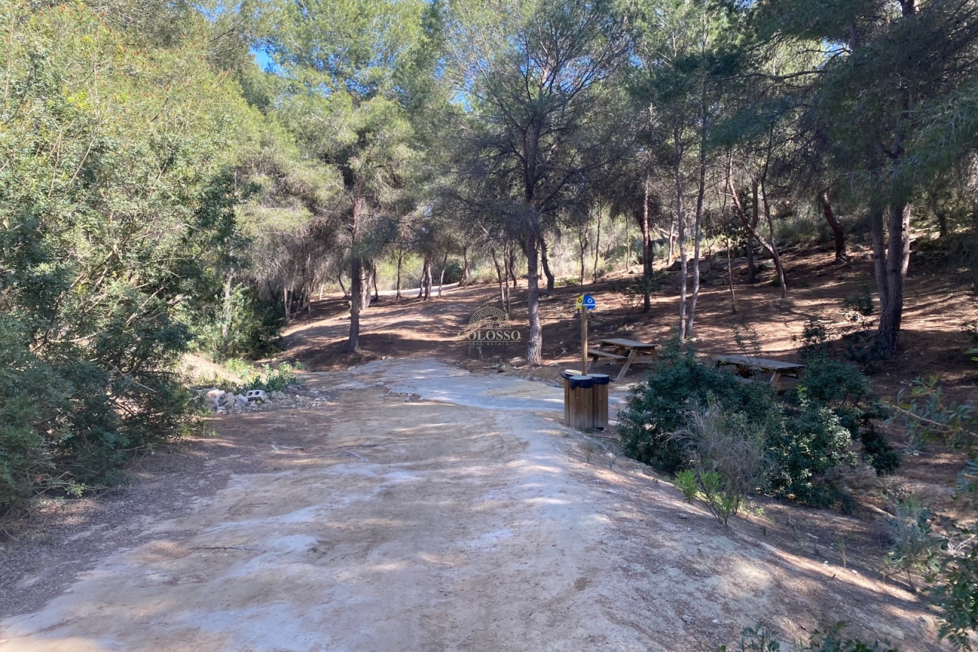 Alquiler - Adosado -
Algorfa - Montemar