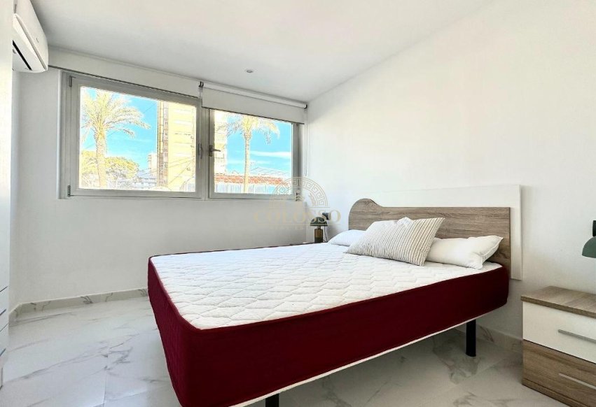 Alquiler - Apartamento -
Benidorm - Levante
