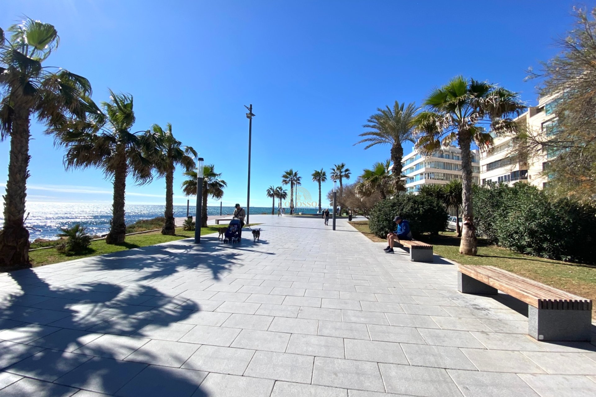 Alquiler - Apartamento / piso -
Torrevieja - Playa de los Locos