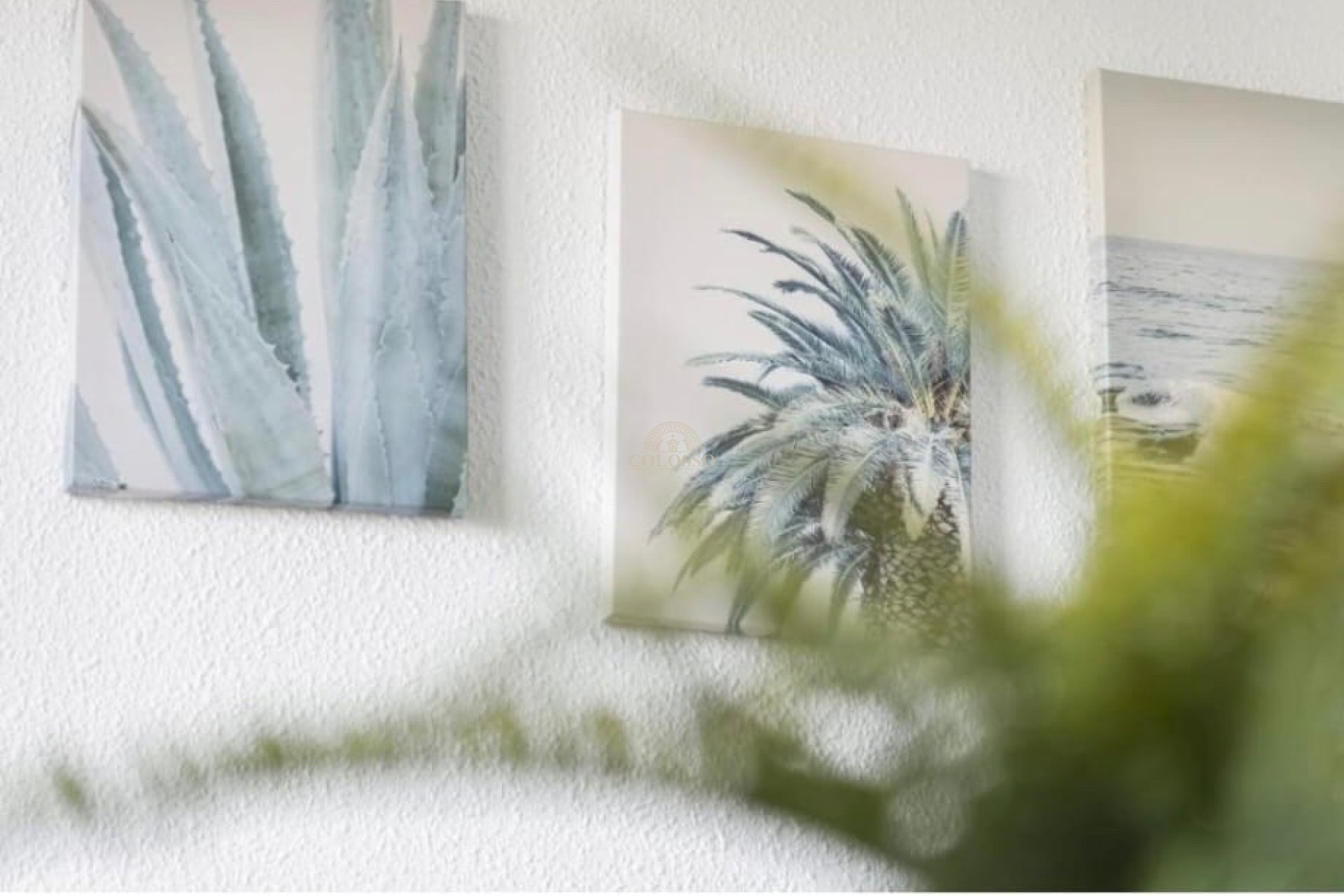 Alquiler - Apartamento / piso -
Torrevieja