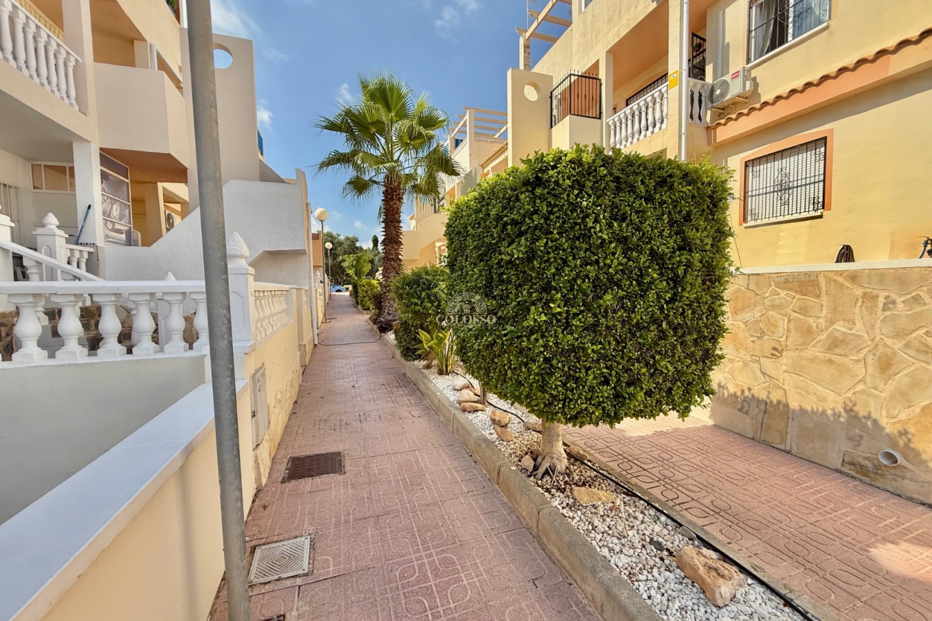 Alquiler - Bungalow -
Alicante - La Florida