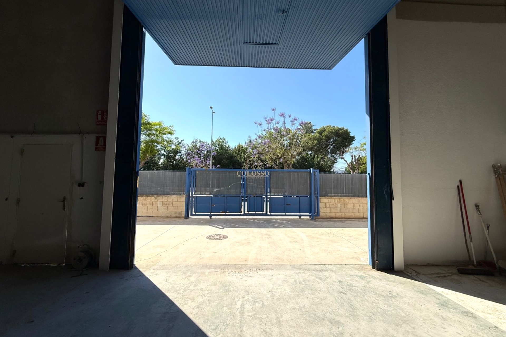 Alquiler - Local Comercial -
Catral