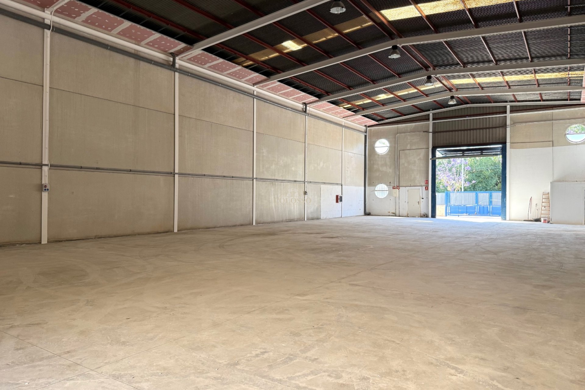 Alquiler - Local Comercial -
Catral