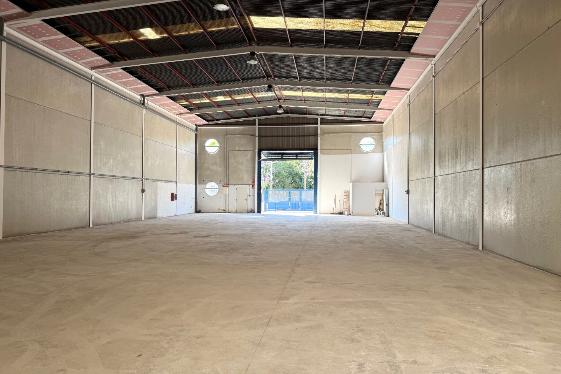 Alquiler - Local Comercial -
Catral
