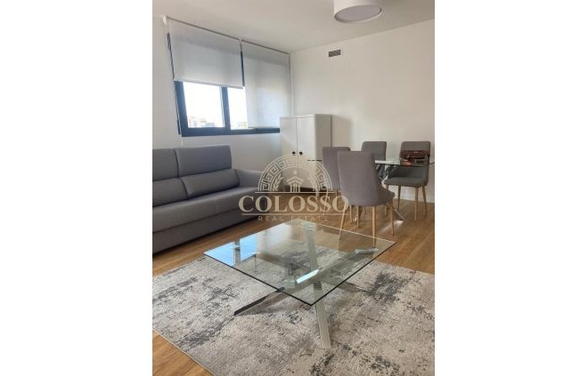 Apartamento - Alquiler - Alicante -
                    Pau V