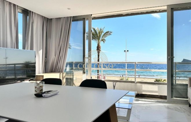 Apartamento - Alquiler - Benidorm -
                    Levante