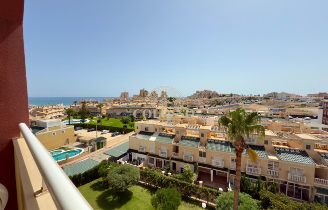 Apartamento - Alquiler -
                La Mata - APA00021