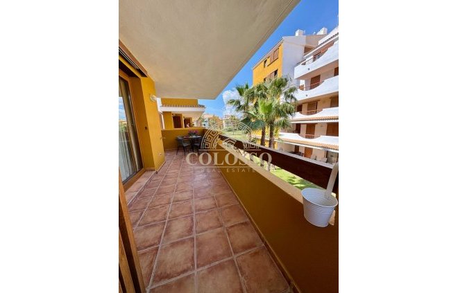 Apartamento / piso - Alquiler - Orihuela Costa -
                    Punta Prima