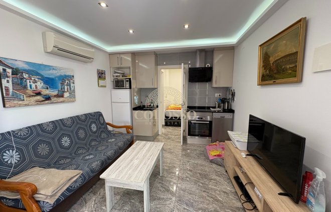 Apartamento / piso - Alquiler - Torrevieja -
                    La Mata