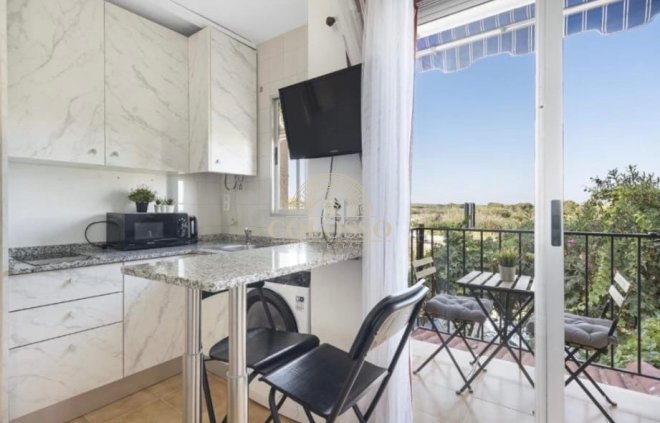 Apartamento / piso - Alquiler - Torrevieja -
                    Torrevieja