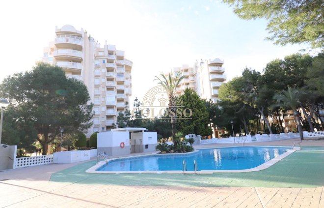 Apartamento - Reventa - Dehesa de Campoamor -
                    Dehesa de Campoamor