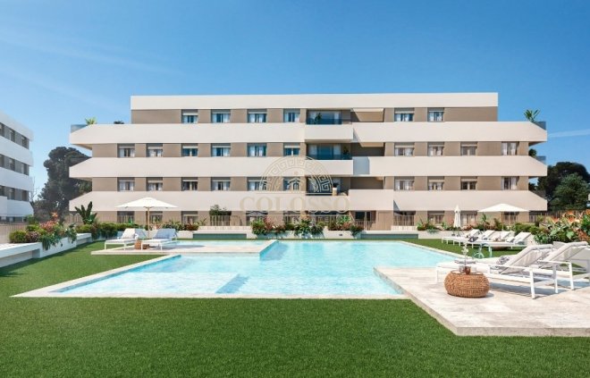 Apartamento - Reventa - San Juan Alicante -
                Frank espinós