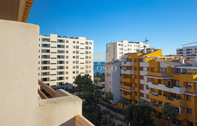 Apartamento - Revente - Torrevieja -
                    Punta prima