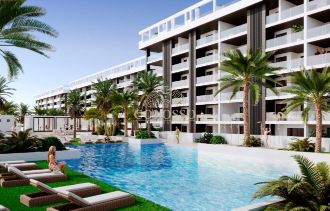 apartment - Obra nueva - Torrevieja -
                    Torrevieja