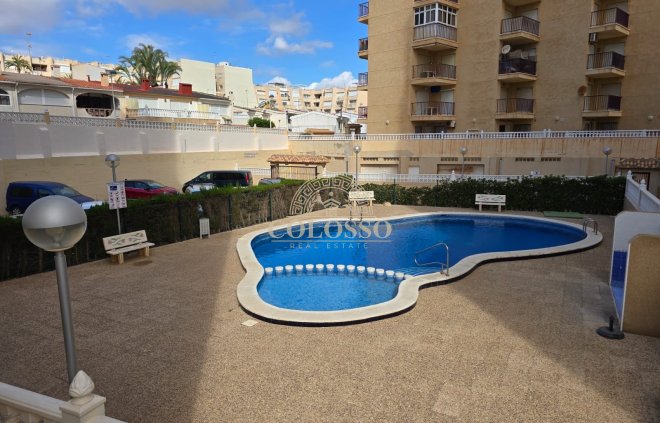 Appartement - Location - Torrevieja -
                    Torrevieja