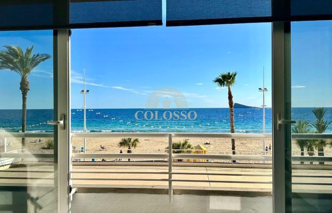 Estudio - Alquiler - Benidorm -
                    Levante