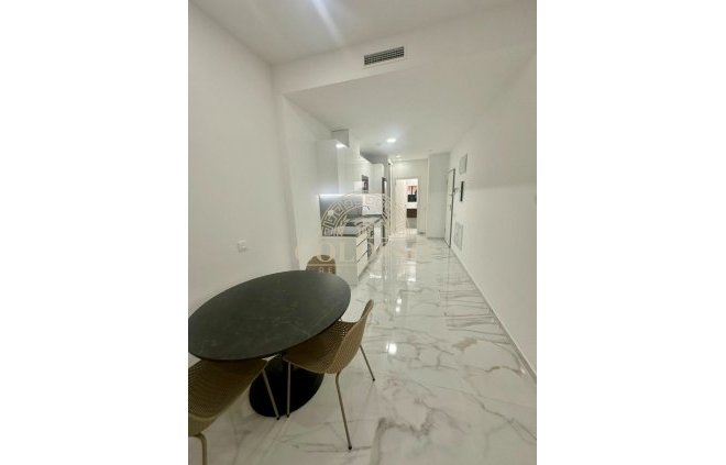 Estudio - Alquiler -
                Orihuela Costa - APA00019