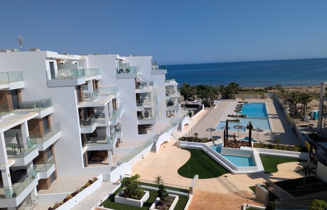 ground-floor - Obra nueva - Denia -
                Denia