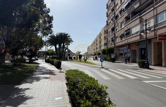 Local Comercial - Alquiler - Orihuela -
                    Orihuela