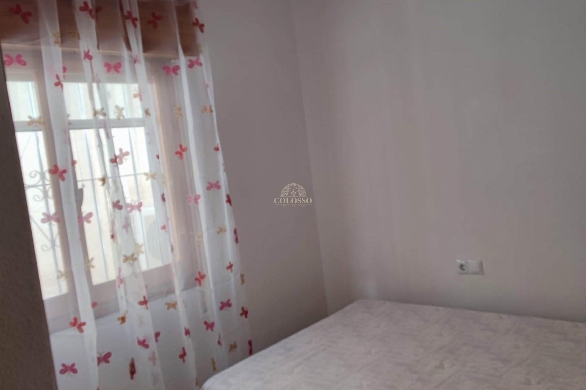 Location - Maison de ville -
Torrevieja - Playa del Cura