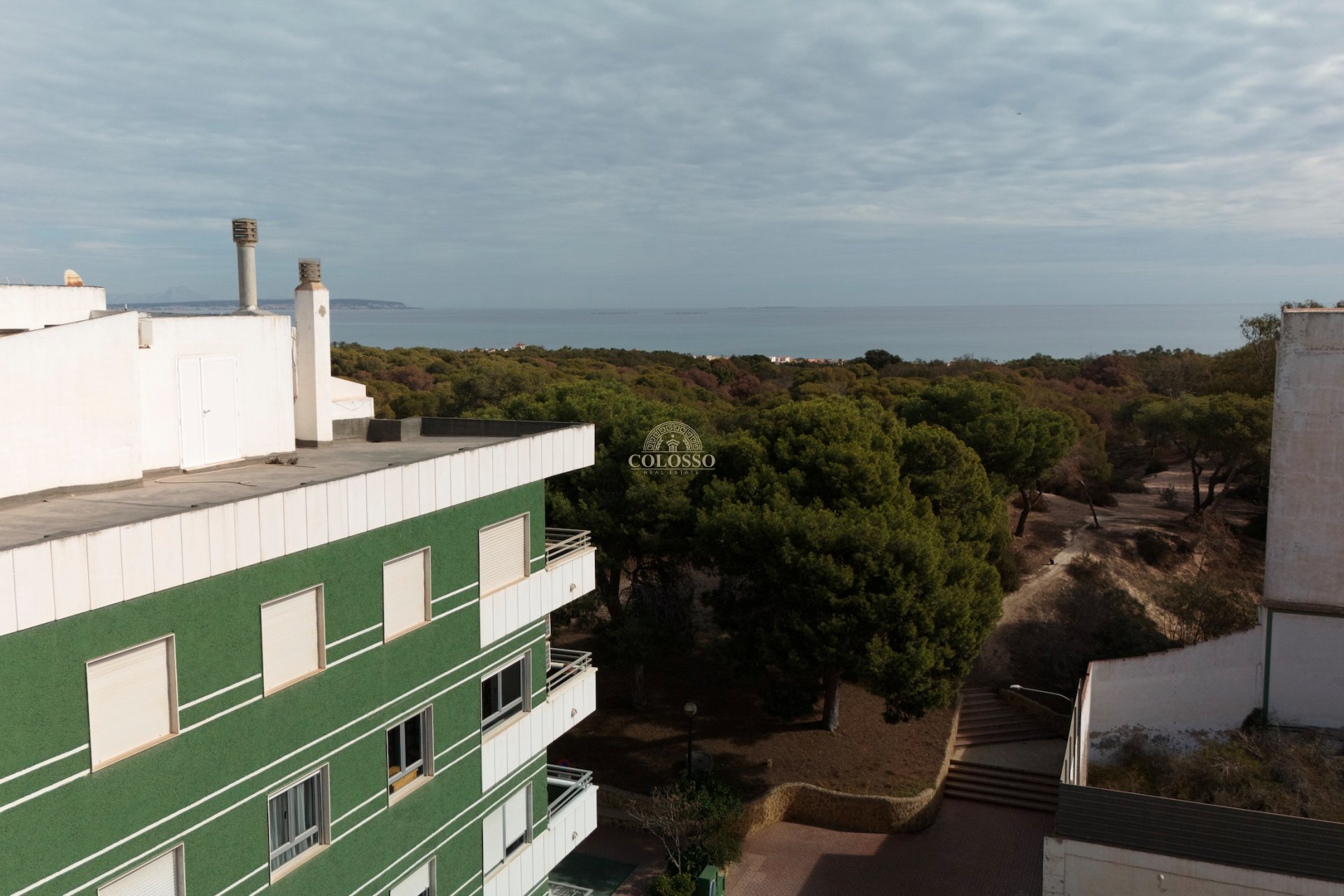 New Build - apartment -
Guardamar del Segura
