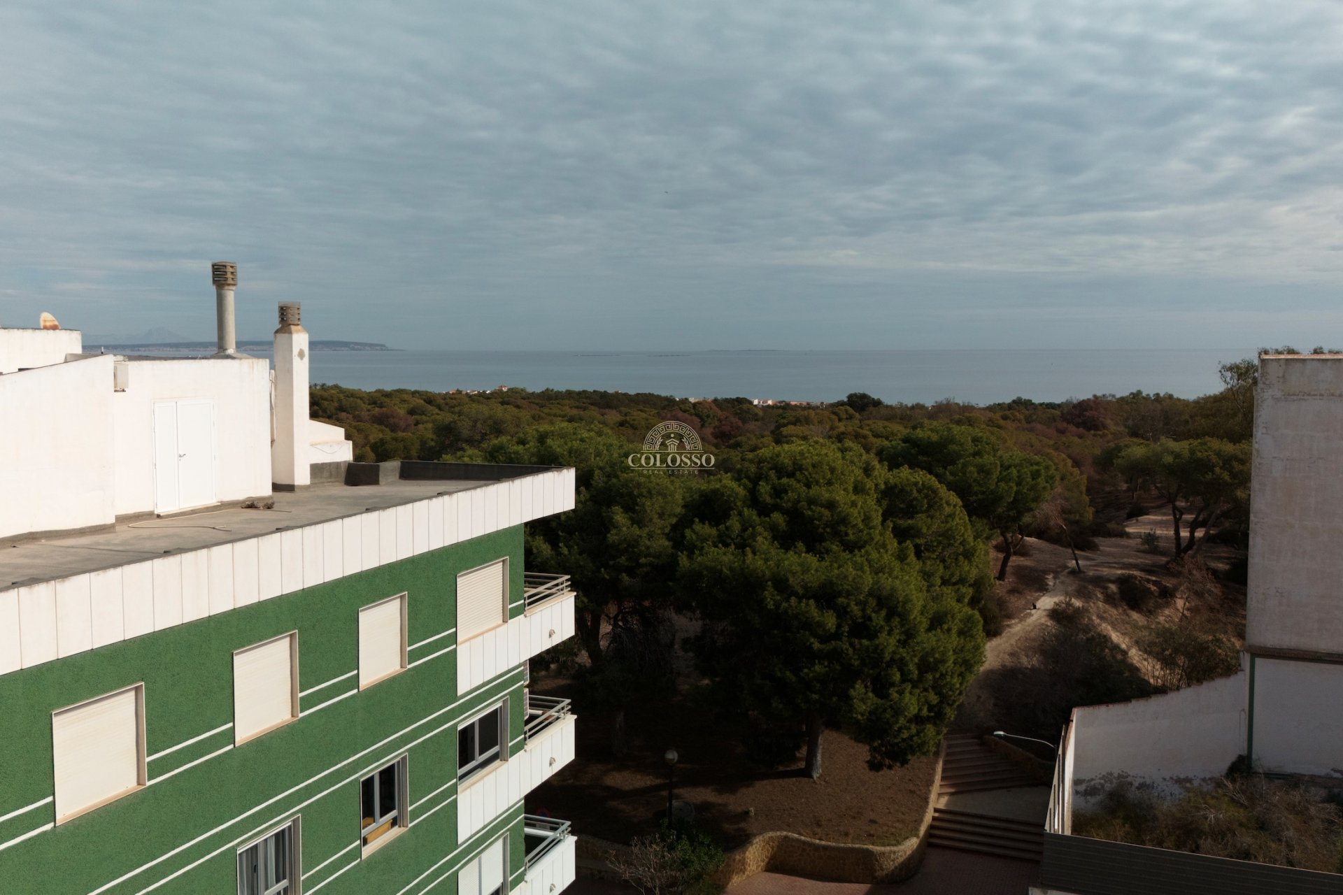 New Build - apartment -
Guardamar del Segura