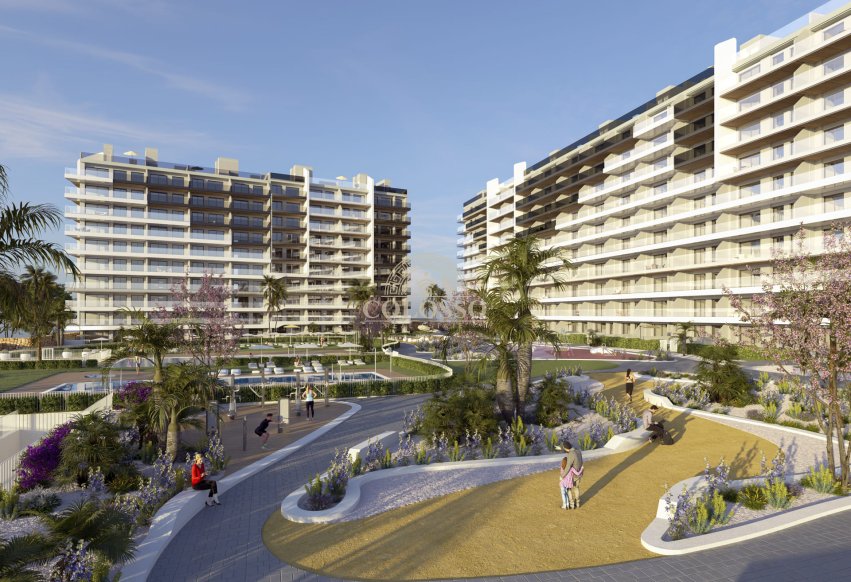 New Build - apartment -
Punta Prima