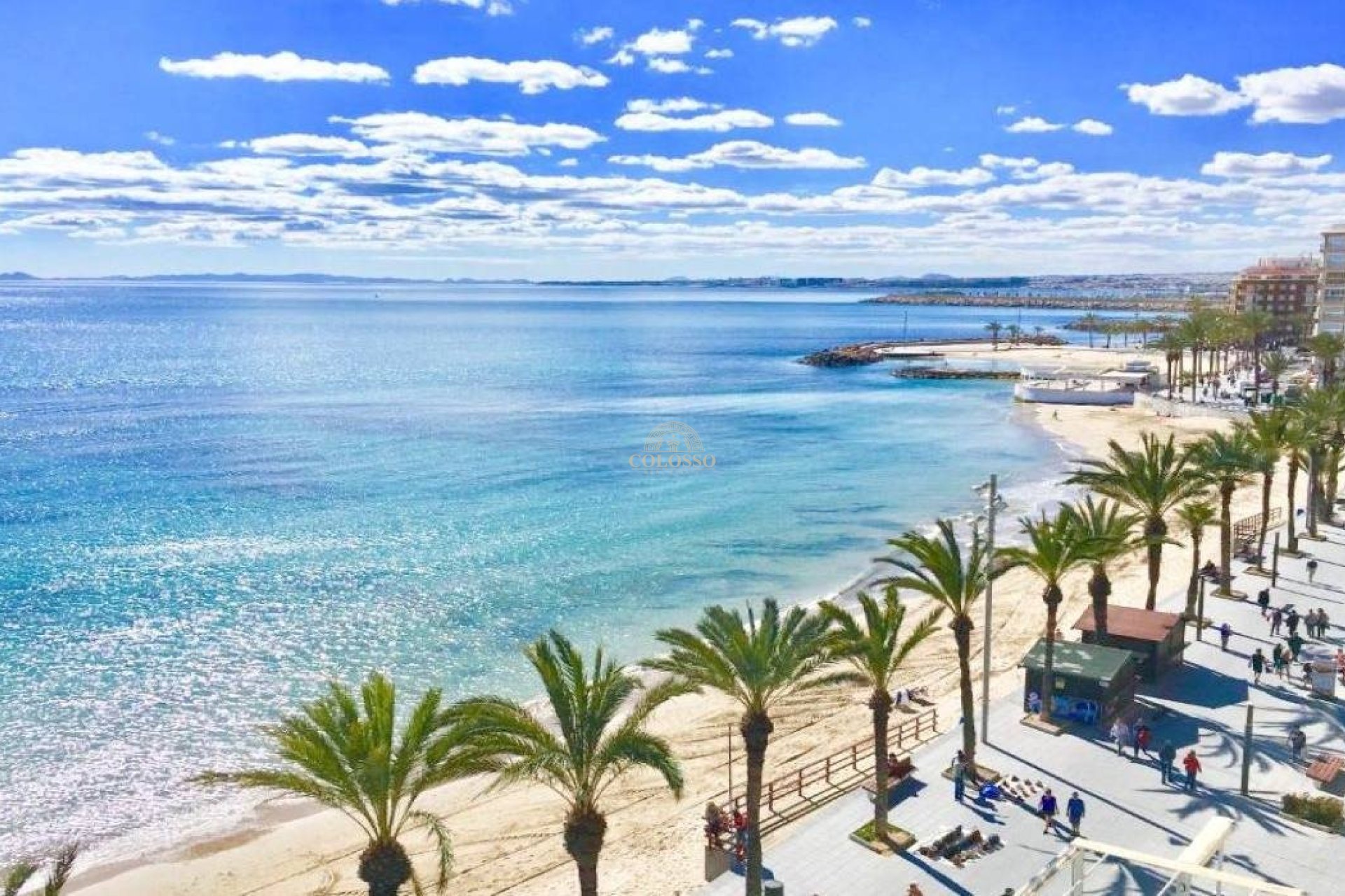 New Build - Bungalow Planta Alta -
Torrevieja - Lago jardin