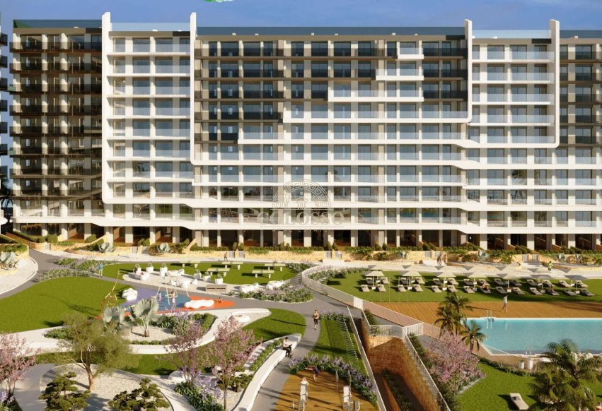 New Build - ground-floor -
Torrevieja