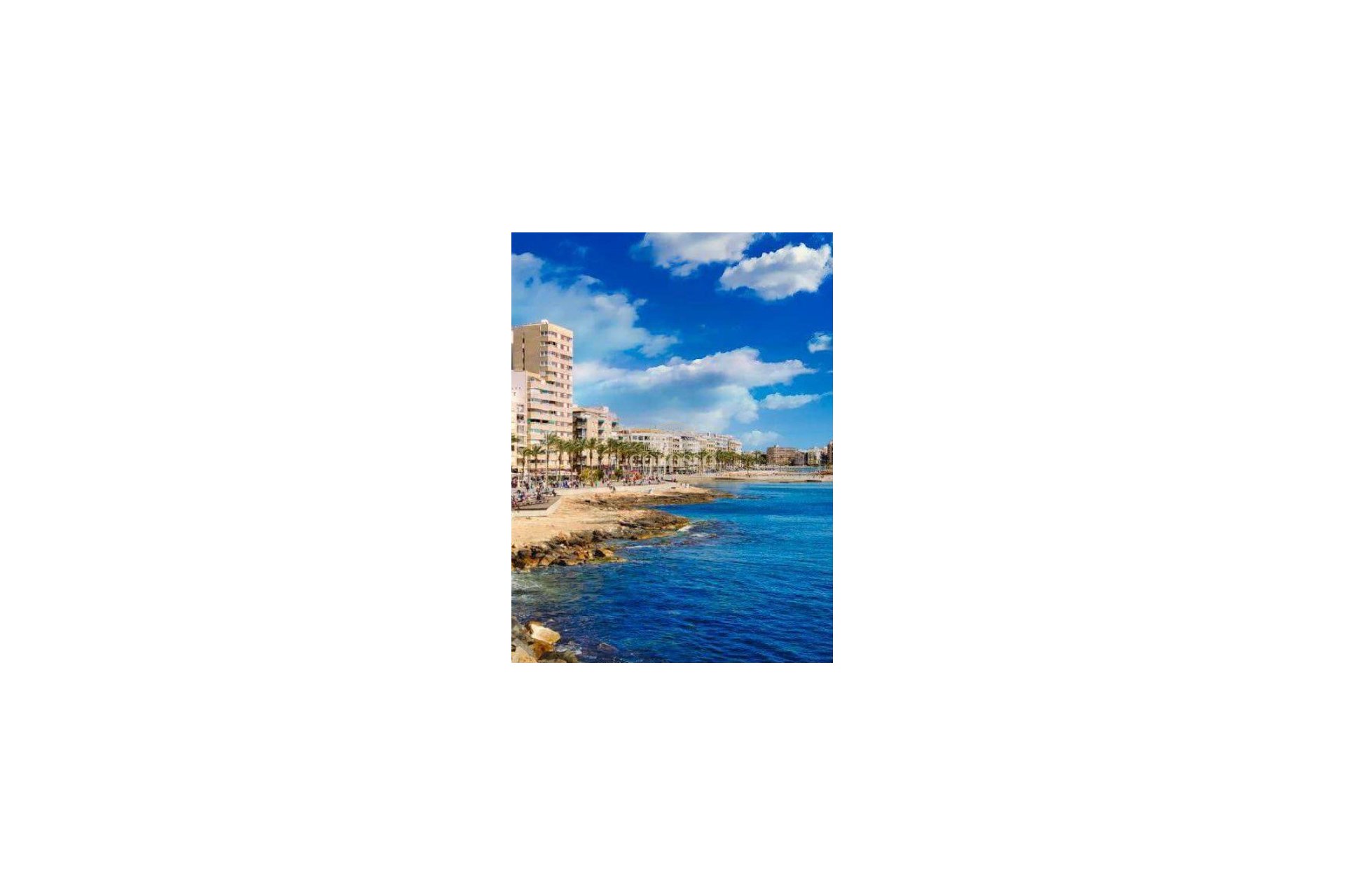 New Build - ground-floor -
Torrevieja