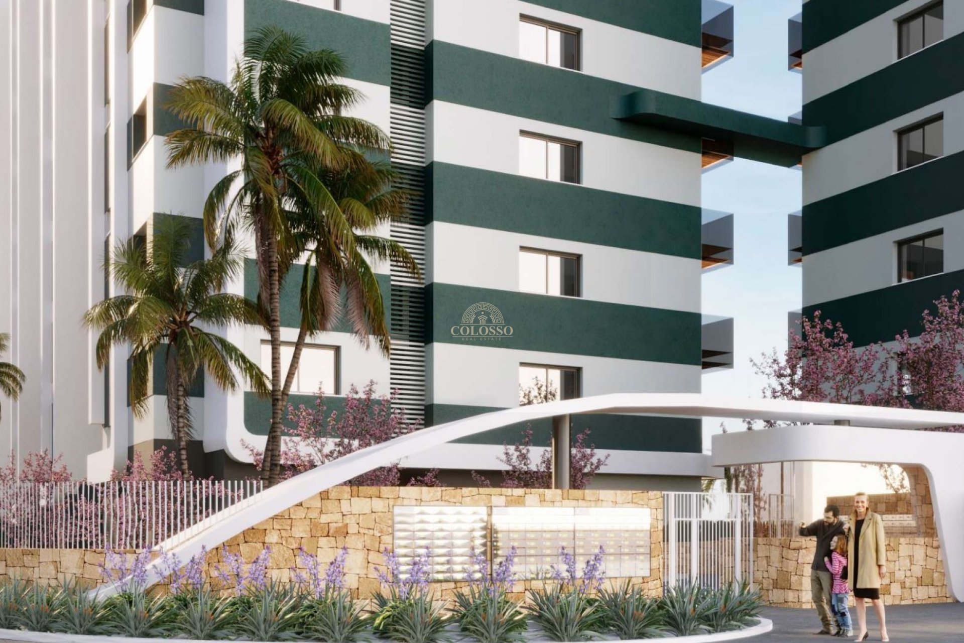 New Build - ground-floor -
Torrevieja