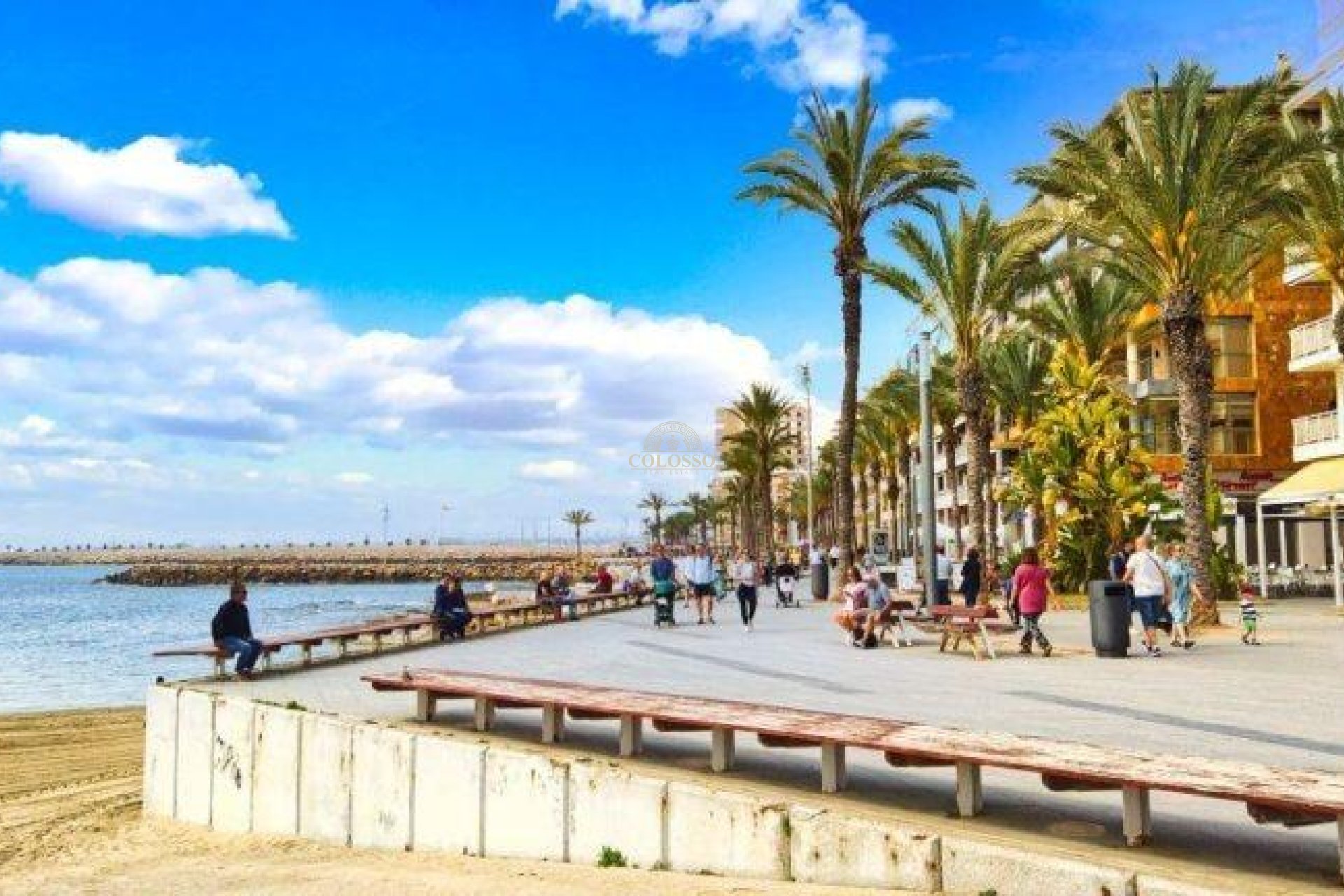 New Build - Planta baja -
Torrevieja - Centro