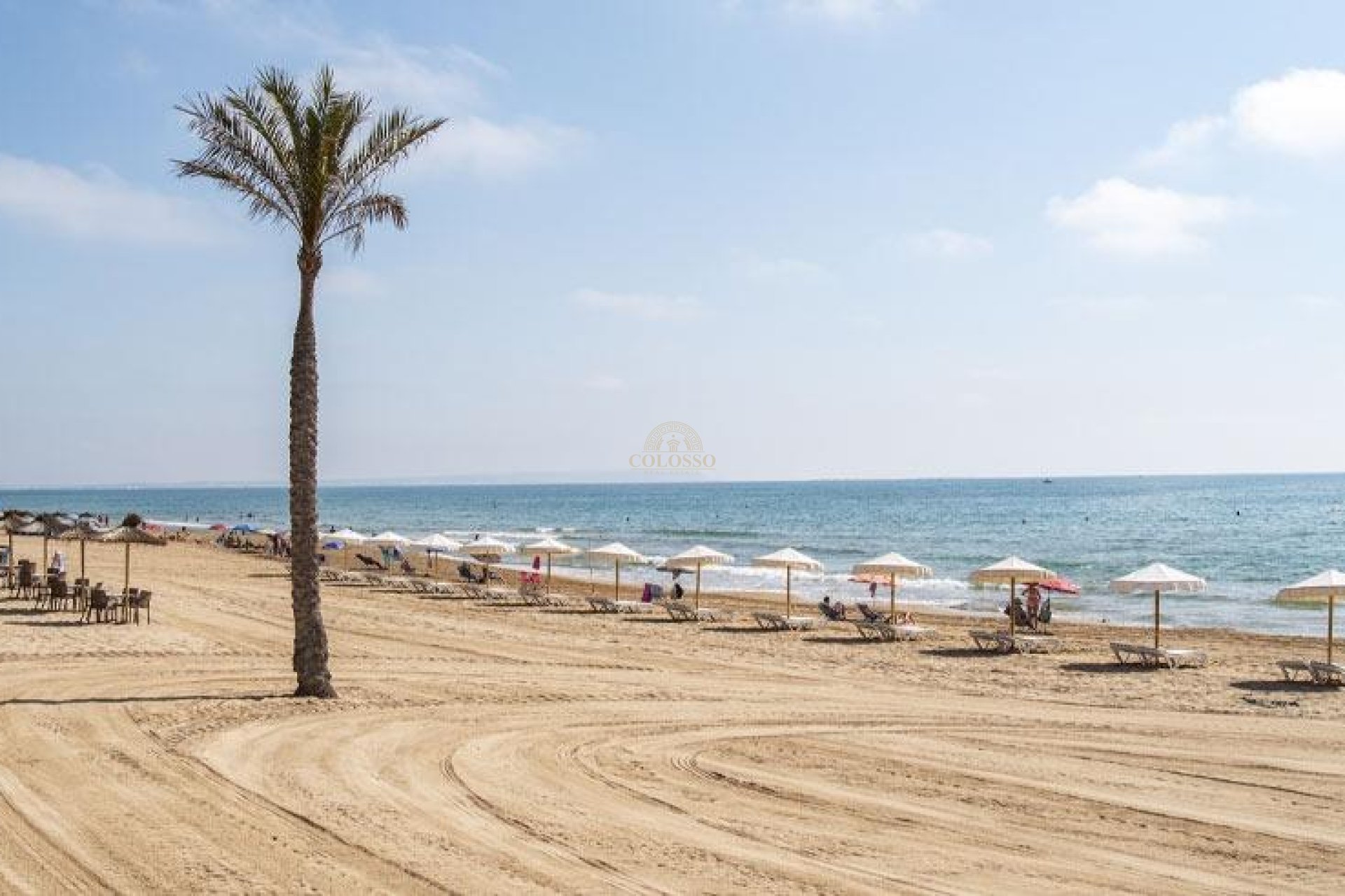 Nouvelle construction - Apartamento -
Guardamar del Segura - Pueblo