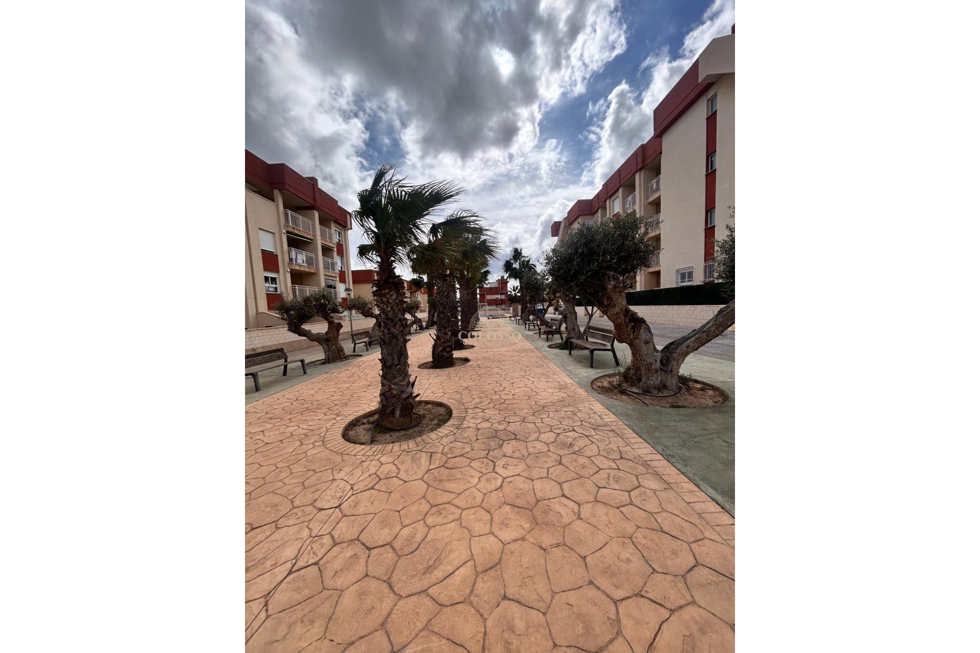 Nouvelle construction - apartment -
Orihuela Costa