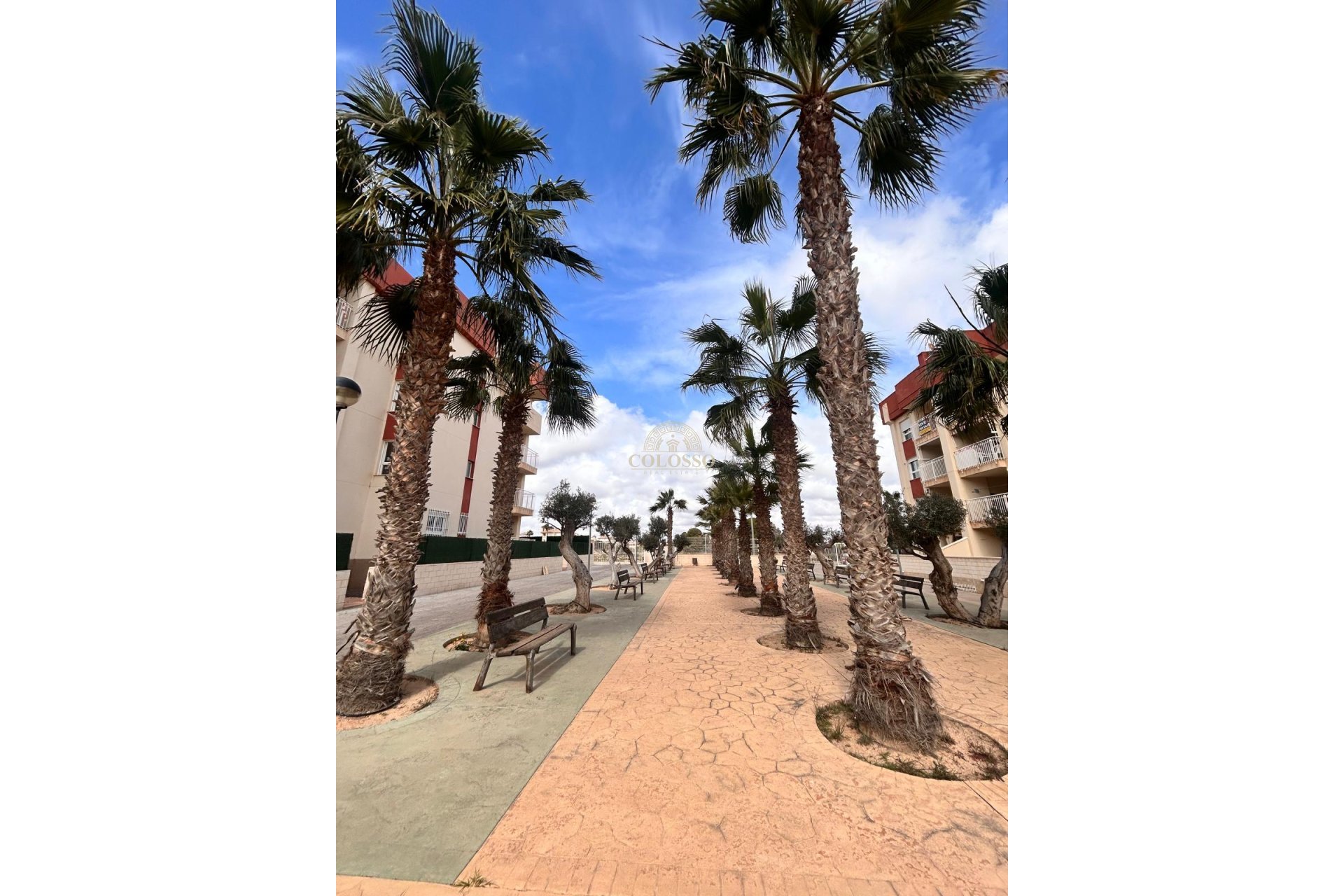 Nouvelle construction - apartment -
Orihuela Costa