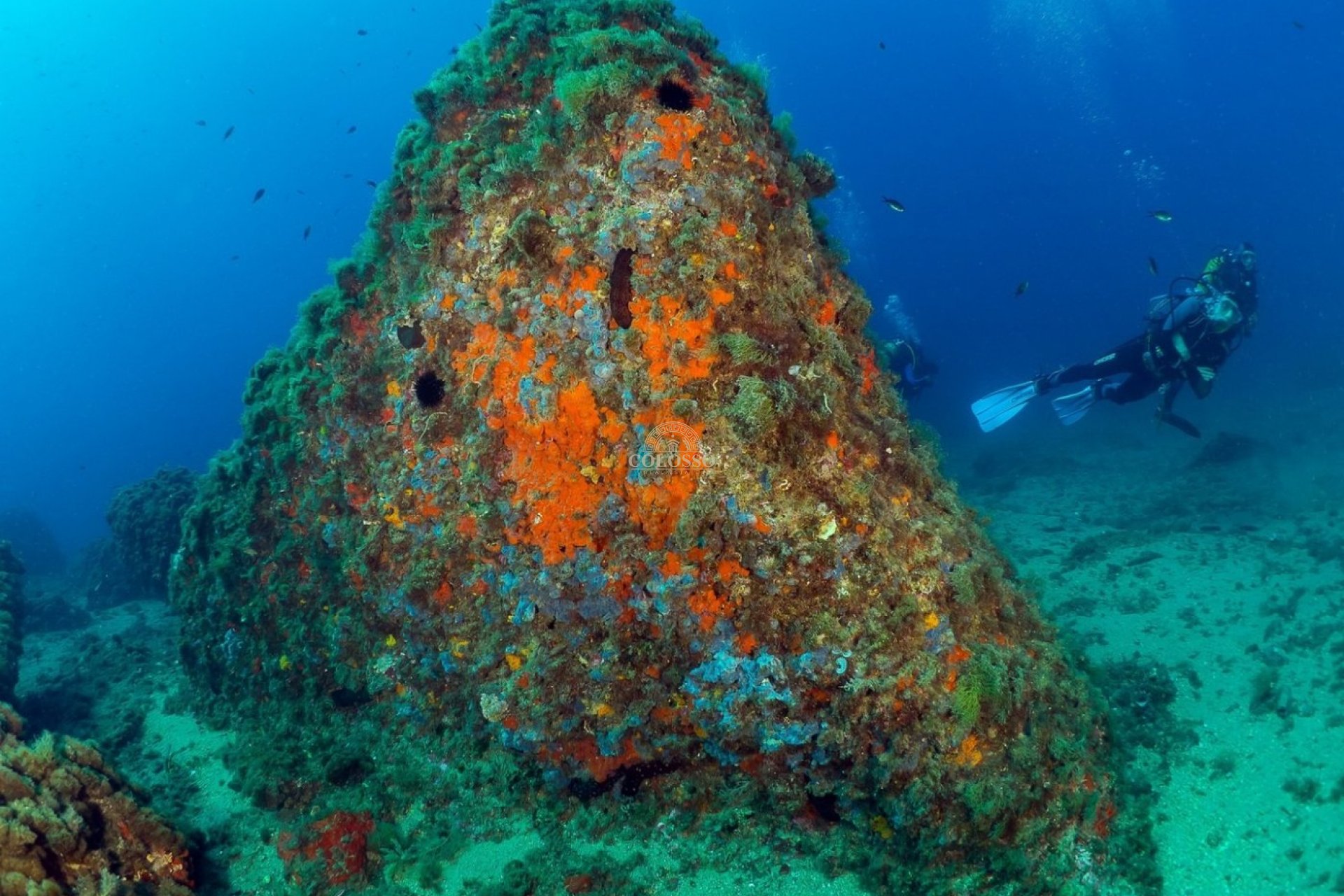 Nouvelle construction - Attique -
Águilas - Isla del fraile
