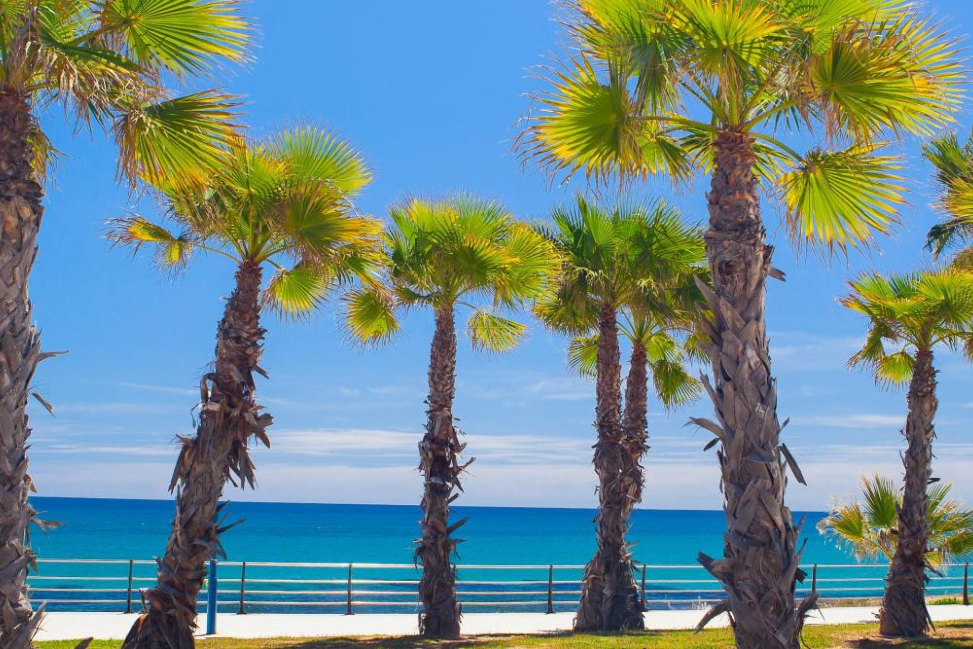 Nouvelle construction - detached -
Orihuela Costa