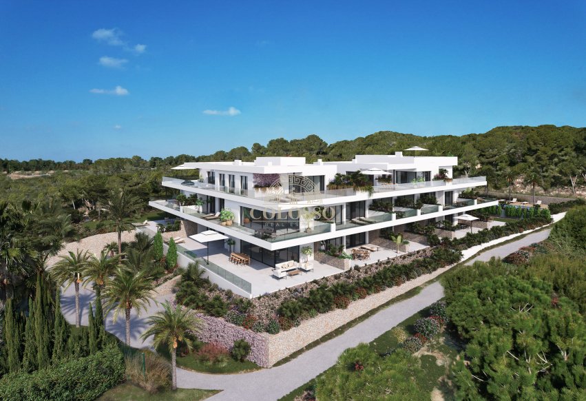 Obra nueva - Ático -
Orihuela Costa
