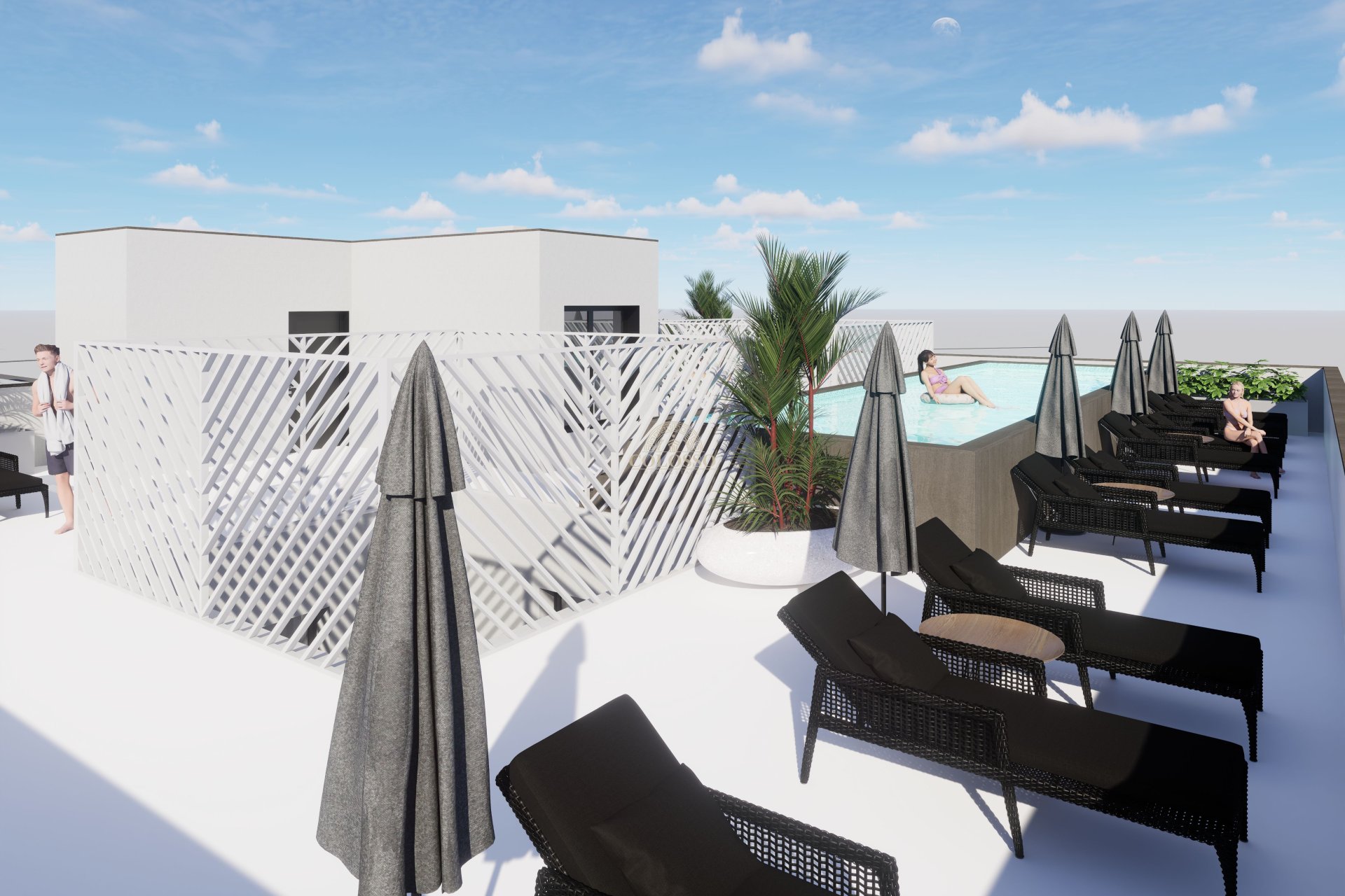Obra nueva - Ático -
Torrevieja