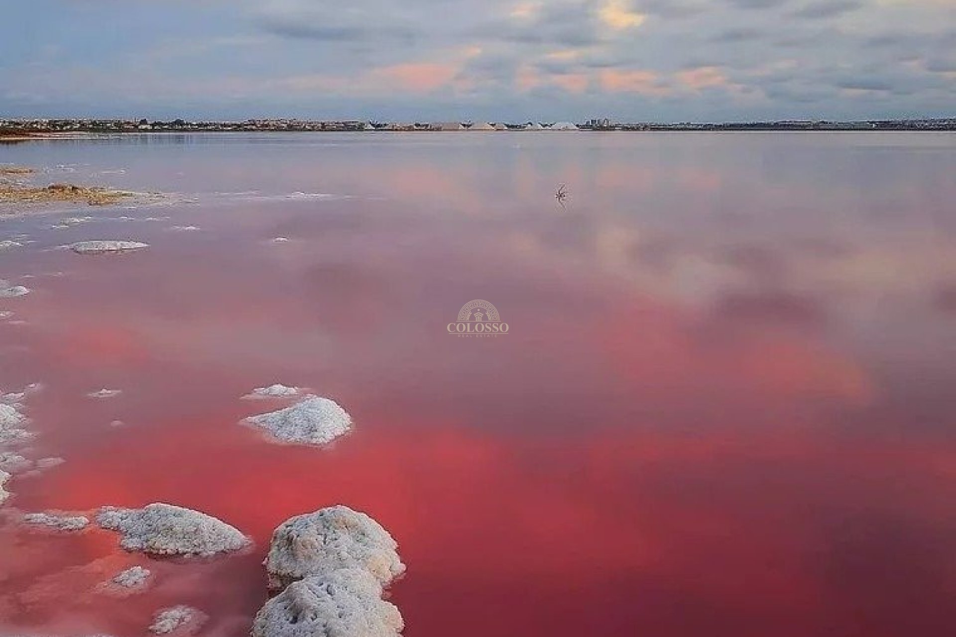 Obra nueva - Bungalow Planta Alta -
Torrevieja - Lago jardin