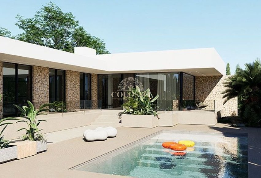 Obra nueva - detached -
El Chaparral