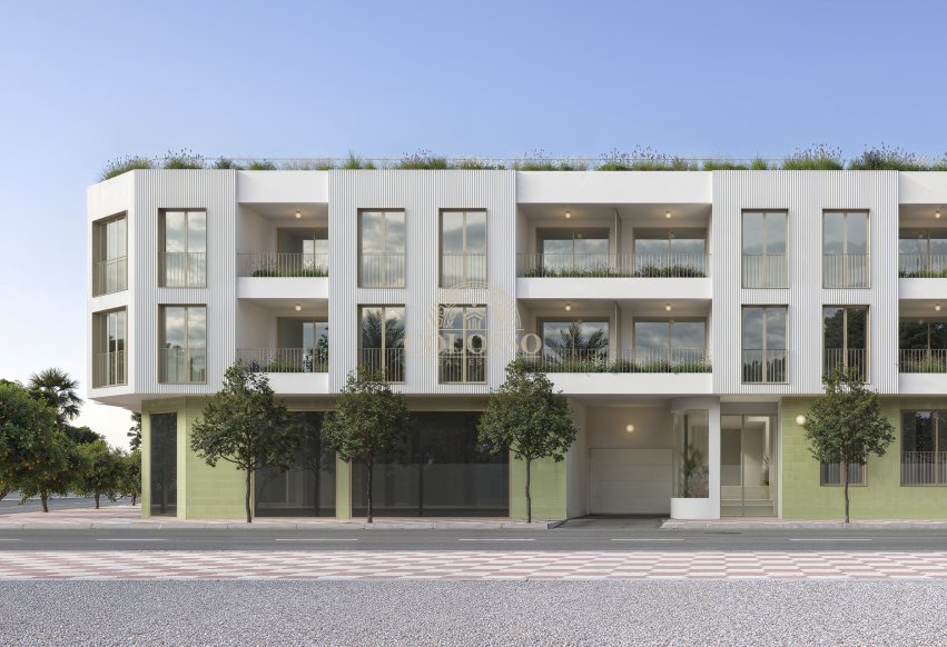 Obra nueva - ground-floor -
Jacarilla