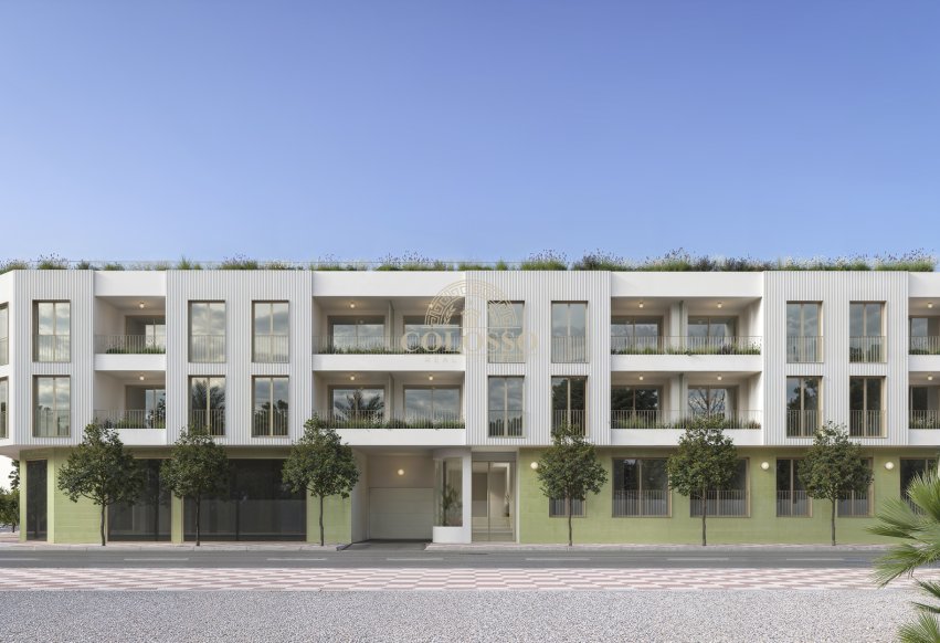 Obra nueva - ground-floor -
Jacarilla