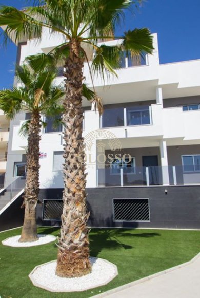 Obra nueva - ground-floor -
Orihuela