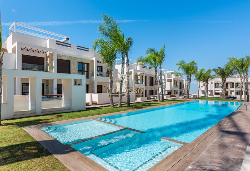 Obra nueva - high-bungalow -
Torrevieja