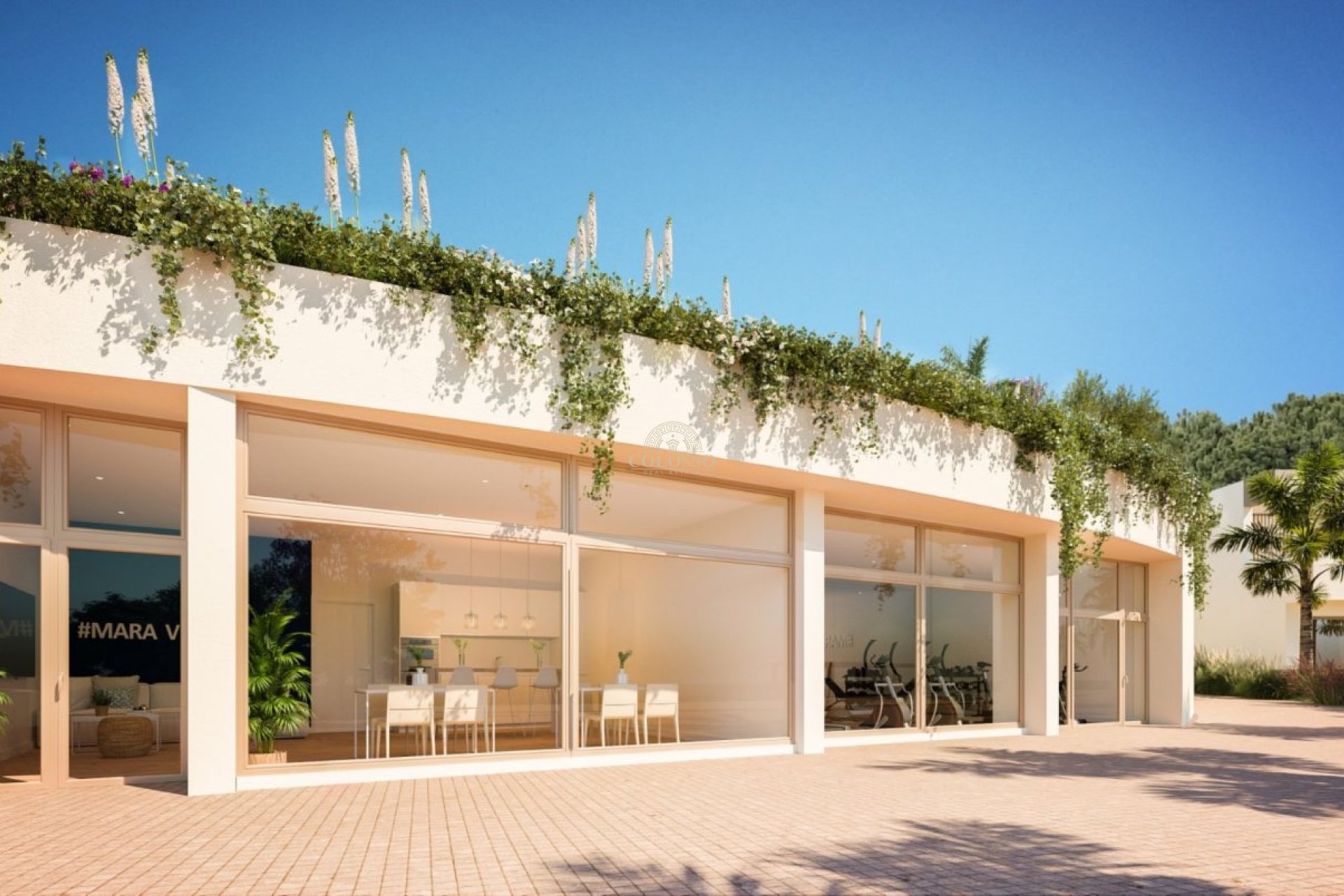 Obra nueva - Pareado -
Alicante - Vistahermosa