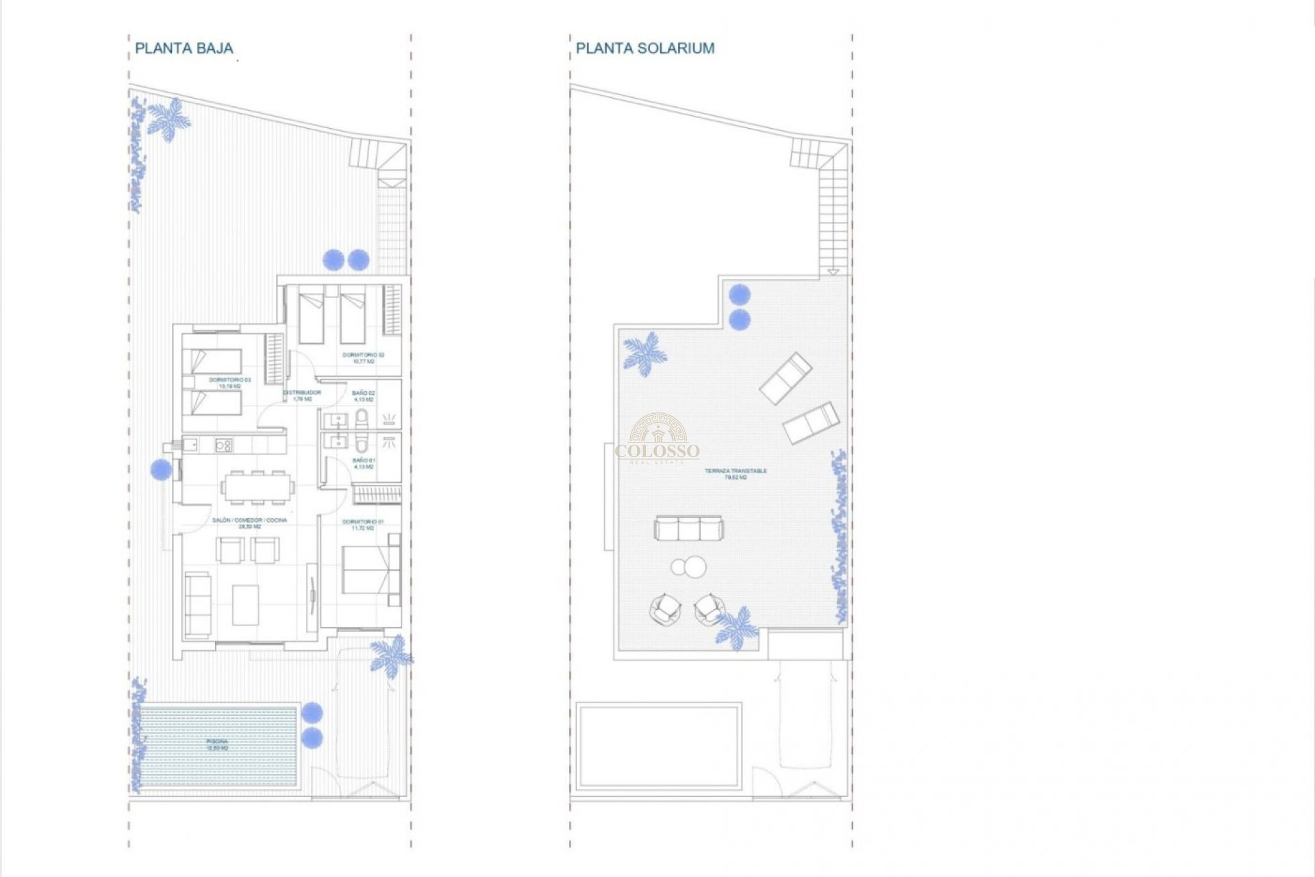 Obra nueva - Villa -
Murcia - Balsicas