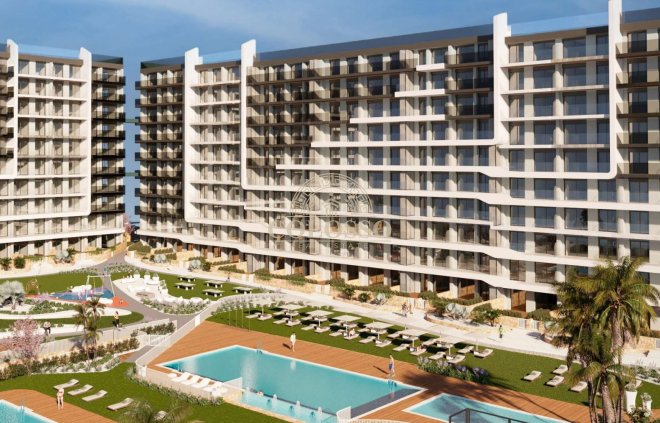 Penthouse - New Build - Torrevieja -
                Torrevieja