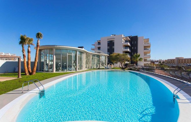 Planta baja - Obra nueva - Orihuela Costa -
                    Villamartín